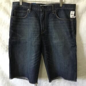 Gap Jeans Blue Men Zip Fly Shorts